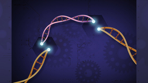 Ambitious gene editing needs an ambitious pair of scissors