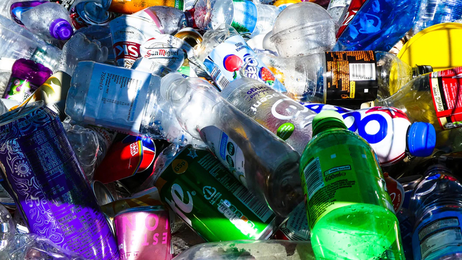 Linking two enzymes turns plastic-eating bacteria into super-digesters