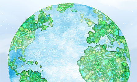 Globe-445x267.jpg Globe-445x267.jpg