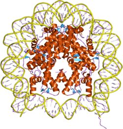 Folding-protein-300x315.jpg Folding-protein-300x315.jpg