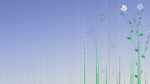 Creating a molecular map for the plant sciences