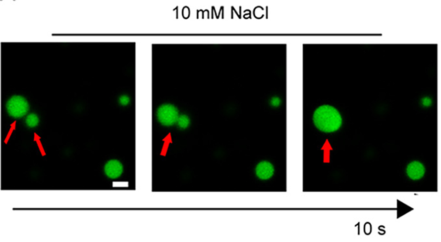 JBC-tau-zinc-890x490.jpg