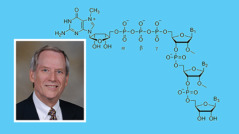 Stabilizing messenger RNA may lead to COVID-19 vaccine development