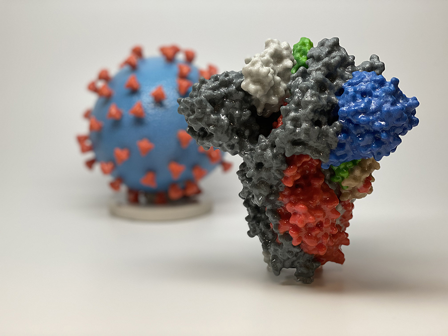 Novel-Coronavirus-890-668.jpg Novel-Coronavirus-890-668.jpg