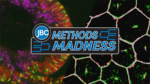 Team Cryo ices Mass Spec’s hopes in JBC Methods Madness tourney
