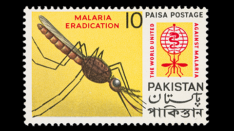 Multiomics meets antimalarials