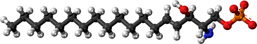 Sphingosine-1-890x151.jpg Sphingosine-1-890x151.jpg