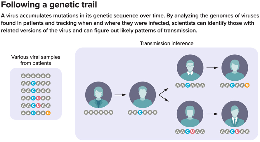 G-viral-genome-clues-alt-890x486.jpg