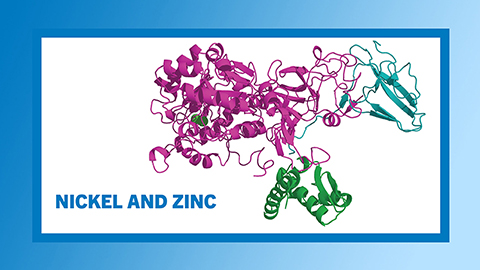 Rounding out the year with nickel and zinc