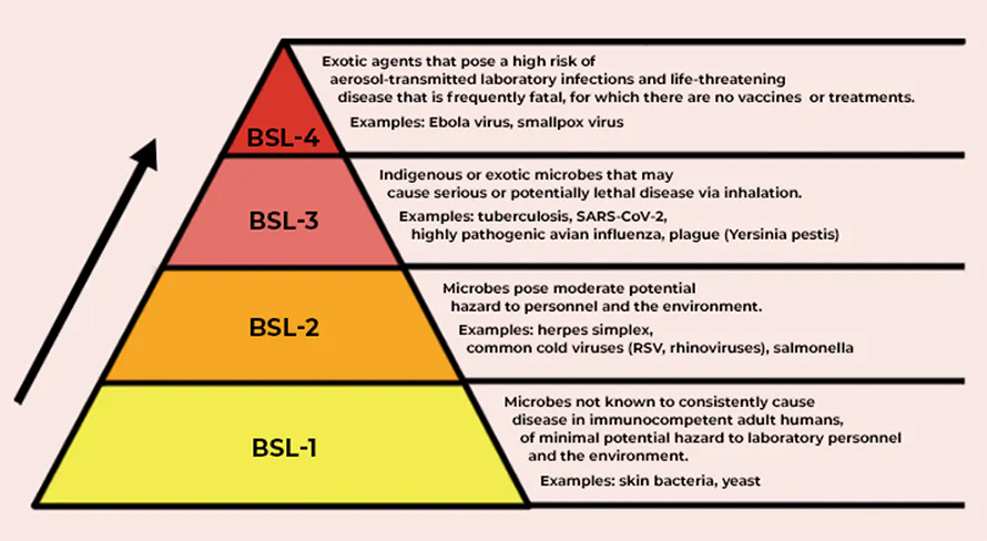 Biosafe-levels-890x488.jpg