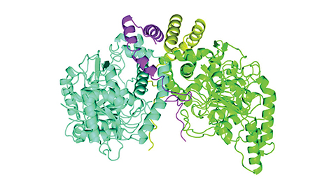 JBC: What bacteria can teach us about combating atrazine contamination