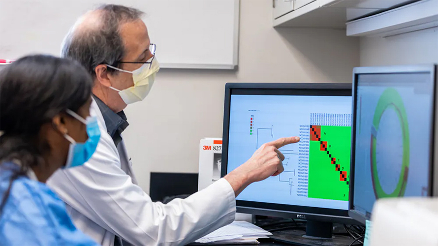 Genomic-sequences-890x500.jpg Genomic-sequences-890x500.jpg