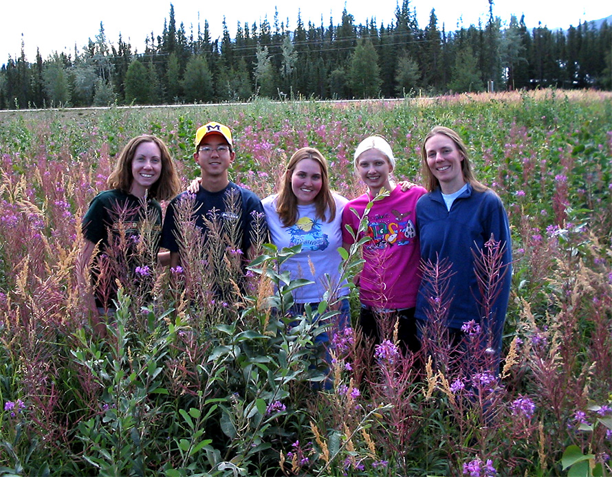 Kathleen Treseder (pictured far left) and her laboratory members stand among fireweed, a plant that is native to the Alaskan boreal forest.