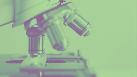 Proteins for a green energy future