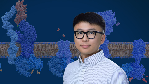 Yu receives early career research award
