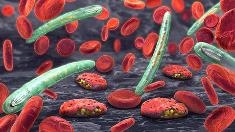 AI-designed biomarker improves malaria diagnostics