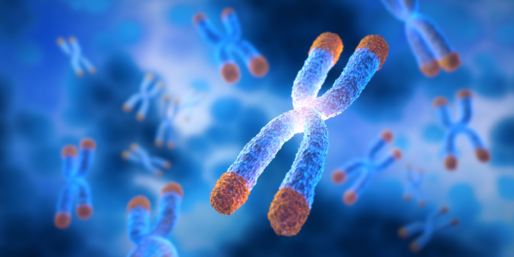 New study finds potential targets at chromosome ends for degenerative disease prevention