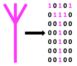 Microvenus, a Germanic rune used to represent life and the female earth, converted into a five-by-seven bitmap of ones and zeros.