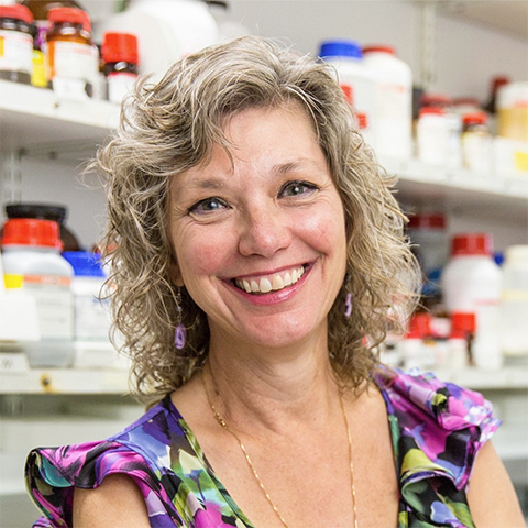 Kim Orth, Ph.D., is a Howard Hughes Medical Institute Investigator, a member of the National Academy of Sciences, and a W.W. Caruth, Jr. Scholar in Biomedical Research, and holds the Earl A. Forsythe Chair in Biomedical Science.