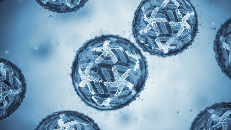 Host fatty acids enhance dengue virus infectivity