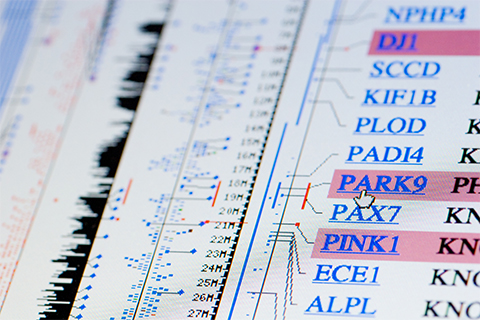 Multiple gene variants are linked to Parkinson’s disease, but which ones are the most relevant?
