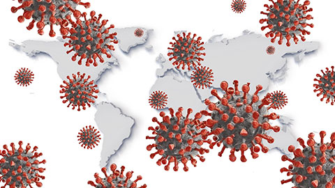 Global analysis of coronavirus protein research reveals how countries respond to disease 
