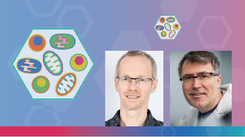 The specialized metabolism and trafficking of cellular subcompartments