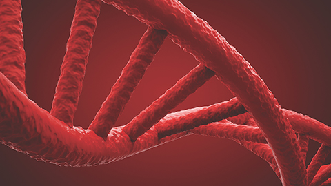 Evolution and core processes in gene expression