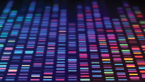 Genomics’ ethical gray areas are harming the developing world