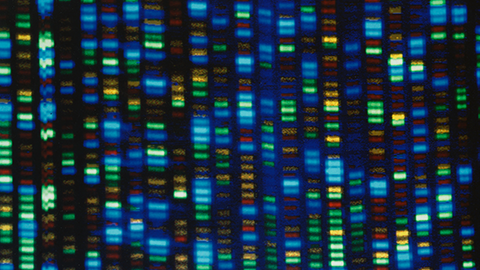 The Human Genome Project pieced together only 92% of the DNA — now scientists have finally filled in the remaining 8%