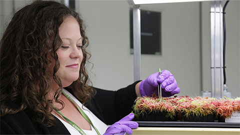 Microbes enhance resilience of carbon-rich peatlands to warming