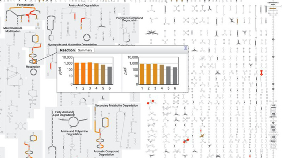 Metabolic reconstruction, modeling and omics data analysis through BioCyc