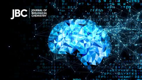 JBC editors weigh in on AI in science publishing