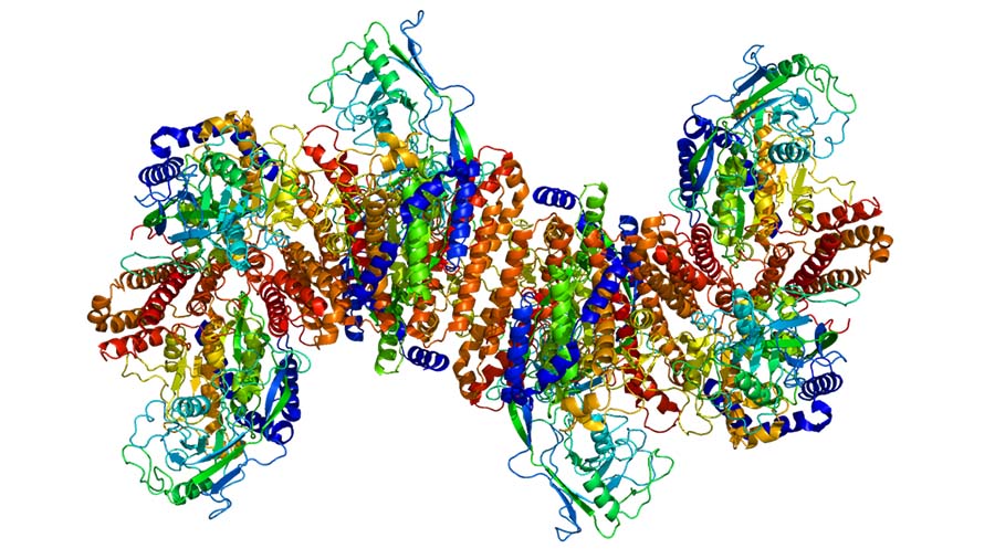 Building a better model for drug delivery across the blood–brain barrier