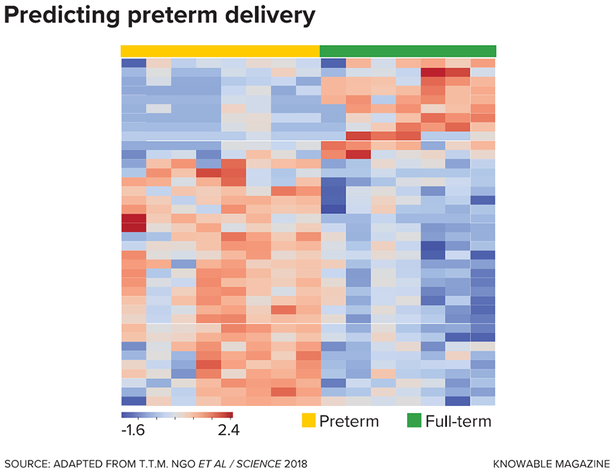 RNA provides information about which genes are turned on — a process known as gene expression — and can be correlated with different pregnancy outcomes. In this study, researchers analyzed RNA in maternal blood and found 38 genes that were expressed at different levels in eight women who delivered their babies preterm versus seven who gave birth at full term. Each column represents a woman; each row shows the activity of a different gene (blue = less active, red = more active).