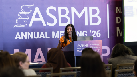 Upcoming opportunities