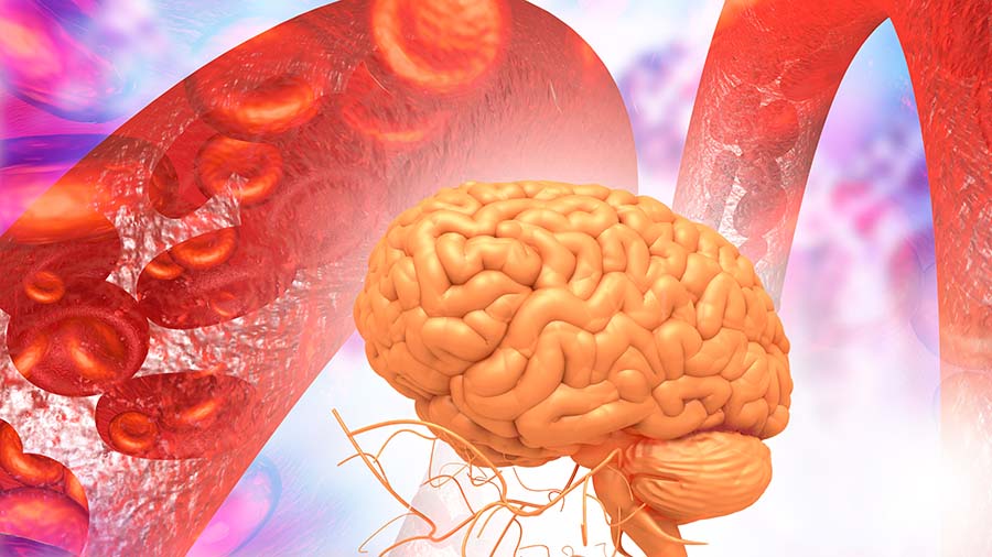 Long-chain polyunsaturated fatty acids linked to postoperative delirium risk