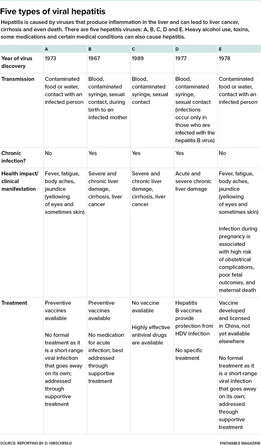 Over the last 50 years, researchers have identified five types of viruses that cause different forms of viral hepatitis. Each virus has its own mode of transmission and health impacts. Scientists around the world have worked to develop treatments and vaccines.