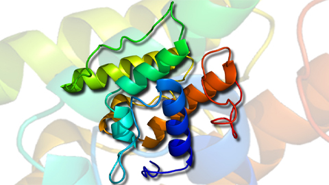 Identifying a new lipid metabolism gene