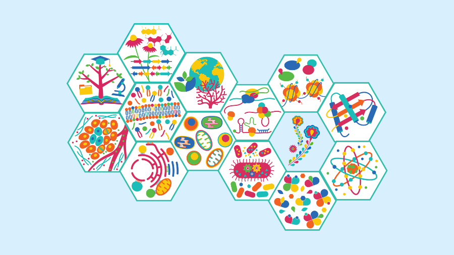 Discover BMB 2024 symposia: What are they really all about?
