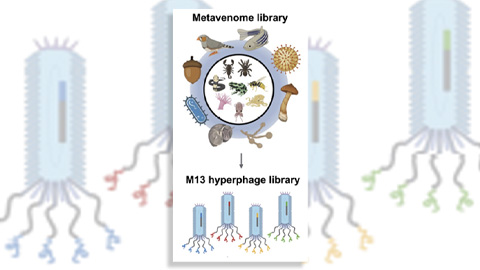 Innovative platform empowers scientists to transform venoms into therapeutics
