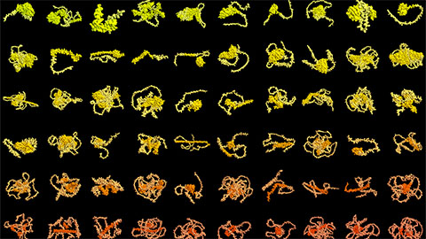 Bioart for fall: From order to disorder