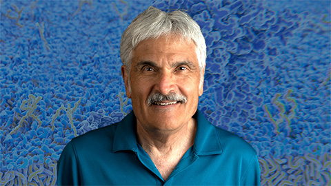 Attie named honorary professor