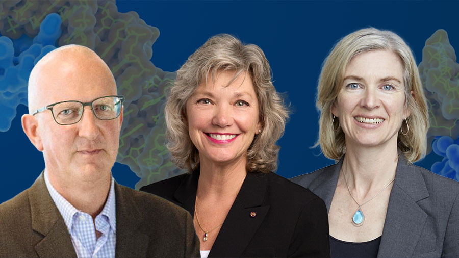 ASBMB members receive ASM awards