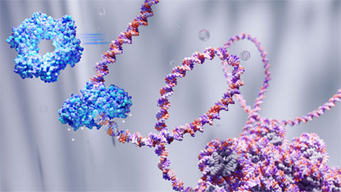 Biochemists identify cause of rare disease 