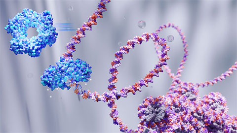 Biochemists identify cause of rare disease