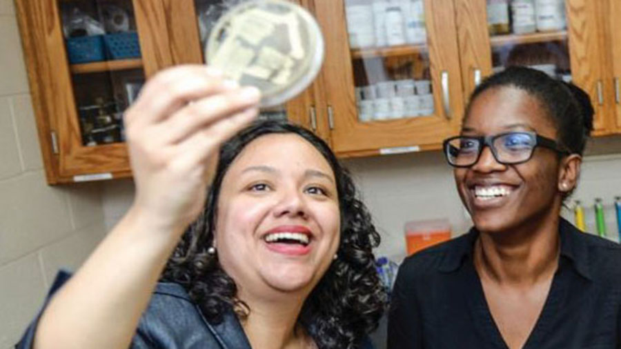 “Hi, profe!” How I learned to connect with my students