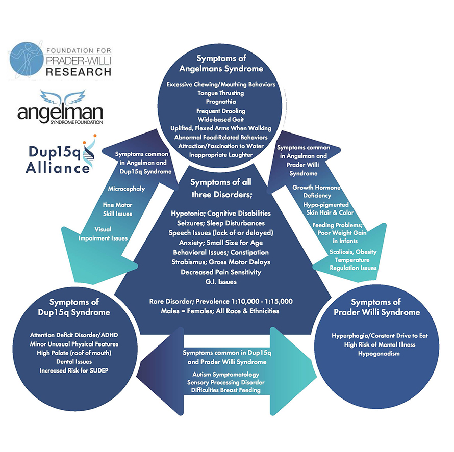 Since Angelman, Prader-Willi and Dup15q syndromes are caused by changes in the 15th chromosome, there are symptoms that all three syndromes share.