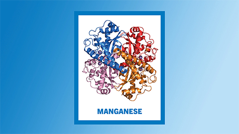 Manganese seldom travels alone