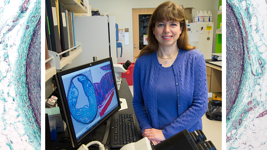 Finding the right research path